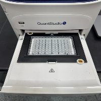 ABI QuantStudio 5 Real Time PCR 96-Well 0.2ml image 3